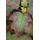 Pflanzen Für Dich Hydrangea Quercifolia Burgundy Eichenblatthortensie Rot 40–60 cm