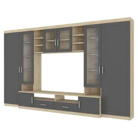Küchen-Preisbombe Wohnwand Paris Anbauwand Wohnkombi Wohnzimmer MDF Grau+ Sonoma Eiche matt