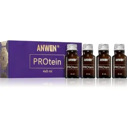Anwen PROtein Protein-Pflege in Ampullen 4x8 ml