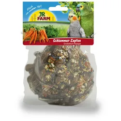 JR FARM Birds Schlemmer-Zapfen (1 Stück) Vogelsnack