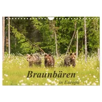 Calvendo Braunbären in Europa (Wandkalender 2026 DIN A4 quer),
