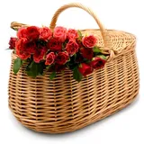 Weidenkorb Korb aus Weide geflochten Picknickkorb Stabiler Tragekorb mit 2 Deckeln braun K1-027-RUND-B