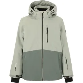 Whistler Drizzle Jr Skijacke Grau 152