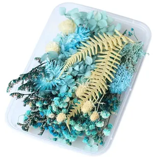 1 Set Trockenblumen, Trockenblumen zum Basteln, Getrocknete Blumen, Trockenblumen Klein, Trockenblumen Set, Trockenblumen Blau, Mini Trockenblumen, Für Startseite Kunst Basteln Dekoration