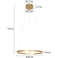 Steinhauer LED Pendelleuchte Ringlux, Ø 60 cm, 2-flammig, gold