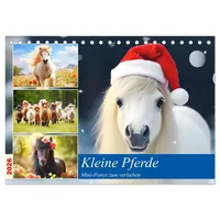 Calvendo Kleine Pferde. Mini-Ponys zum verlieben (Tischkalender 2026 DIN
