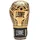 Leone 1947 LEONE 1947, Boxhandschuhe Haka 14 OZ, Gold