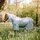 Horseware AmEco Bug Buster Pferdedecke 125 cm Silber/Sky Blue