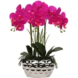 44CM Künstliche Orchideen Phalaenopsis Kunstblumen wie Echt Dekorative Orchidee Bonsai Kunstpflanze Arrangement im Keramiktopf für Tisch Wohnzimmer Wohnkultur Dekoration