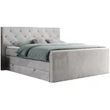 MKS boxspringbett KING VELEN 160/200 Hellgrau Velvet - H3