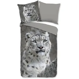 Muller Textil Chief Wendebettwäsche Leopard grau 135 x 200 cm + 2 x 80 x 80 cm