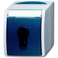 Busch-Jaeger Schlüsselschalter 2733 SLW-53