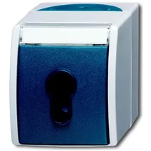 Busch-Jaeger Schlüsselschalter 2733 SLW-53