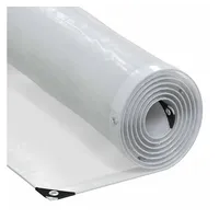 VidaXL Transparente Plane mit Ösen 10x10 m Polyethylen