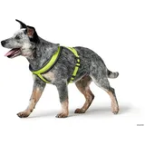 Hunter London Comfort Hundegeschirr Grün XS-S