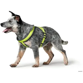 Hunter London Comfort Hundegeschirr Grün XS-S