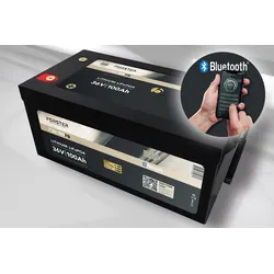 FORSTER 38,4V Lithium 100Ah LiFePO4 Standard Batterie | 100A-BMS | Smart Bluetooth | 3840Wh