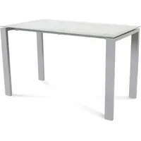 Rocada Schreibtisch Total BxTxH 120x60x73cm Gestell grau Platte Glas