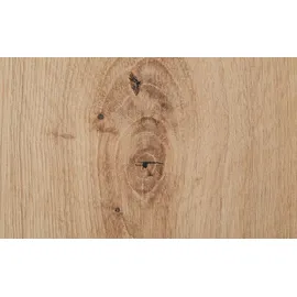 Sconto Kleiderschrank Birmingham 250 x 230 x 23 cm Holzfarben