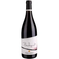 Klaus Lentsch: Blauburgunder DOC Bachgart Identität - 2021 -