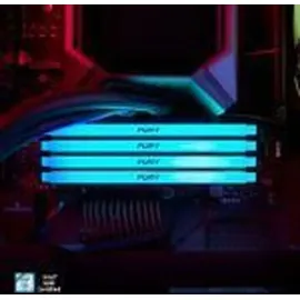 Kingston FURY Beast RGB 32 GB Kit DDR4 PC-3200 KF432C16BB2AK2/32