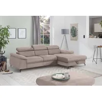 Cotta Ecksofa »Kitty L-Form«, Modern, L-Form, Bodenfreiheit 12,5 cm braun