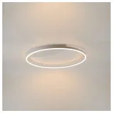 s.LUCE LED Ring Wandlampe & Deckenleuchte Dimmbar modern rund
