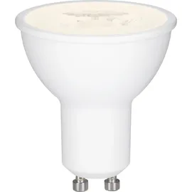Paulmann LED Reflektor GU10 6,5 W dimmbar warmweiß