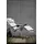 jan kurtz Fiam Amida Relaxliege 110 x 62 x 65 cm grau