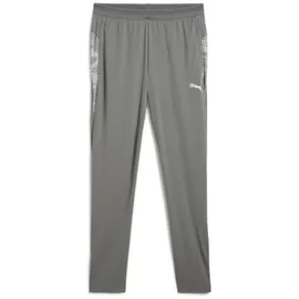 Puma teamCUP Training Pants - L