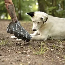 LIONTO 900 Hundekotbeutel, schwarz/grün