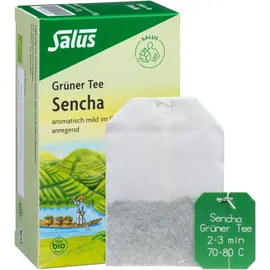 SALUS Grüner Tee Teebeutel 15 St.