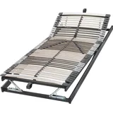 Badenia Federholzrahmen Trio 44 KFG- Bettkastenfunktion mittels Gasfeder, 7 Zonen Lattenrost 140 x 200 cm