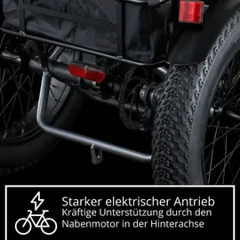 remington-fahrrad Remington R100 E Bike Dreirad 20 Zoll Elektrodreirad mit tiefem Einstieg klappbar