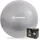 Donic Schildkröt Gymnastikball Silber 65 cm