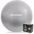 Donic Schildkröt Gymnastikball Silber 65 cm