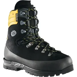 Haix Protector Alpin schwarz