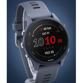 Garmin Forerunner 255 46 mm schiefergrau/schwarz