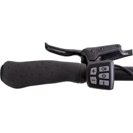 Saxonette Quantum Sport Wave 2023 28 Zoll RH 50 cm Damen silberfarben