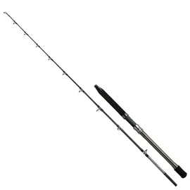 Shimano Fishing Bootsrute Speedmaster Ax 2,29 m 500-1000 g