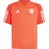 adidas FC Bayern München Tiro 23' - Rot,Orange,Weiß - 152