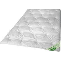 Walburga Fascination Tencel Sommerbett Faserdecke 135x200