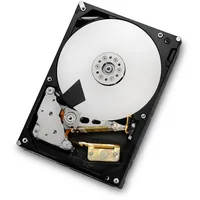 Western Digital HGST Ultrastar 7K3000 - Festplatte - 3