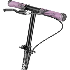 rosfix HM183 Rosa