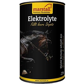 Marstall Elektrolyte, 1er Pack (1 x 1 kilograms)