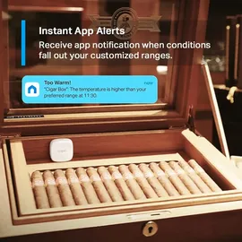 TP-Link Tapo T310 - Intelligenter Temperatur- Feuchtigkeitssensor