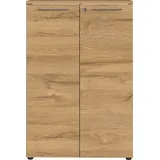 Germania Aktenschrank Agenda Home, 4232-564 grafit, grandson-eiche 2 Fachböden 80,0 x 40,0 x 120,0 cm