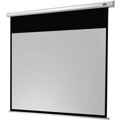 celexon Leinwand Motor Economy 300 x 169 cm