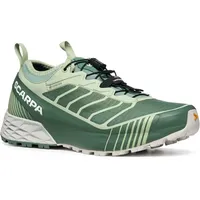 Scarpa Damen Ribelle Run GTX Schuhe (Größe 38, gruen)