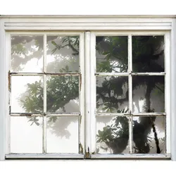 Wandsticker QUEENCE "Baum im Nebel", weiß, T:0,1cm, Wandtattoos, Wandsticker, Wandbild, selbstklebend, 3D, Fenster